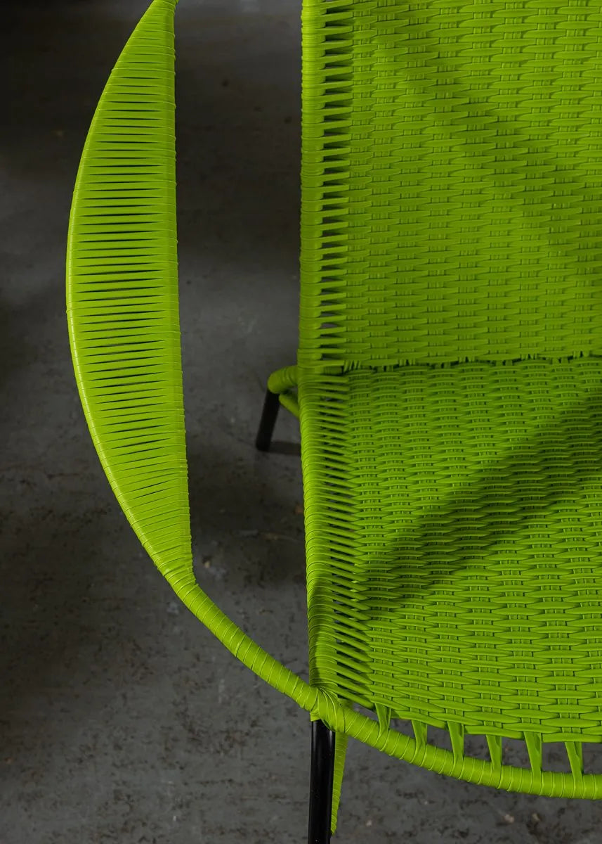 Tucurinca del Verano (Vivid colors)