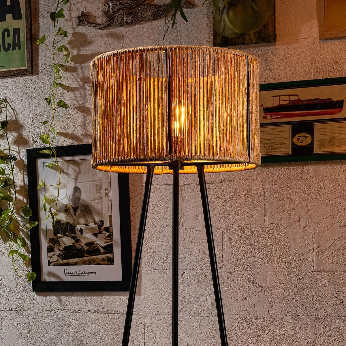 Zinto Lamp