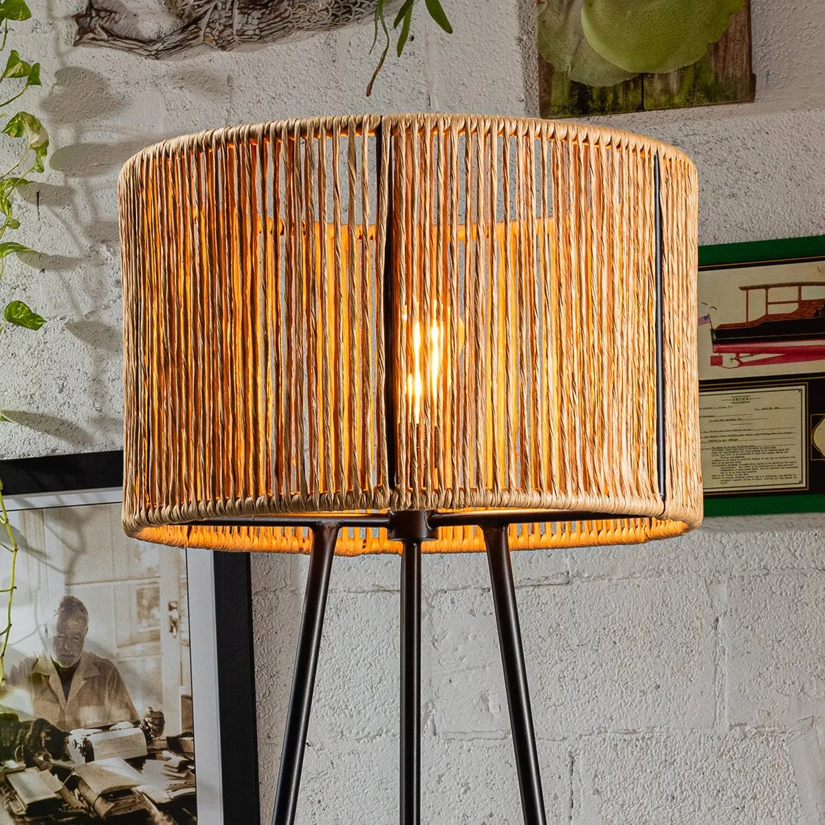 Zinto Lamp