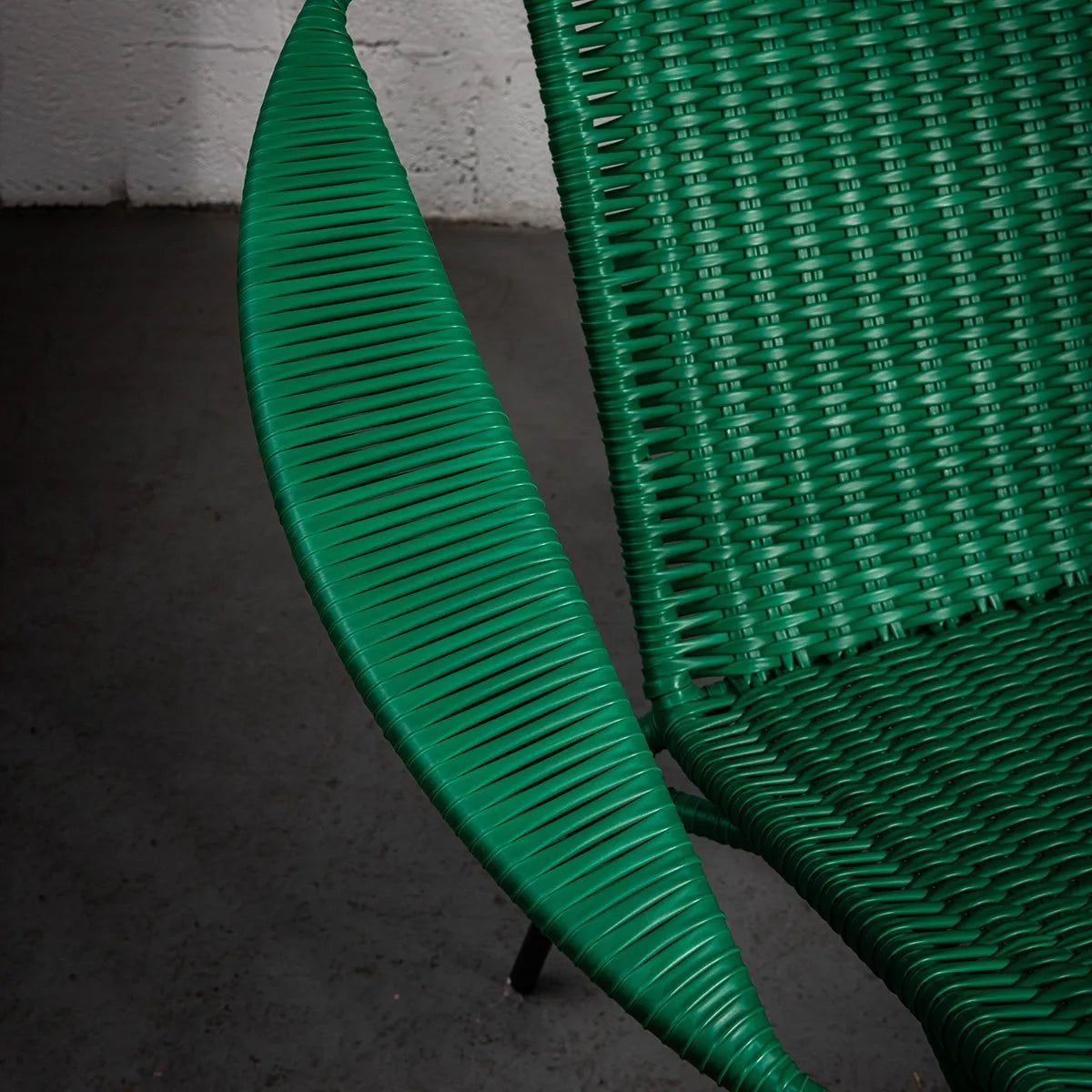 Tucurinca del Verano (Vivid colors)