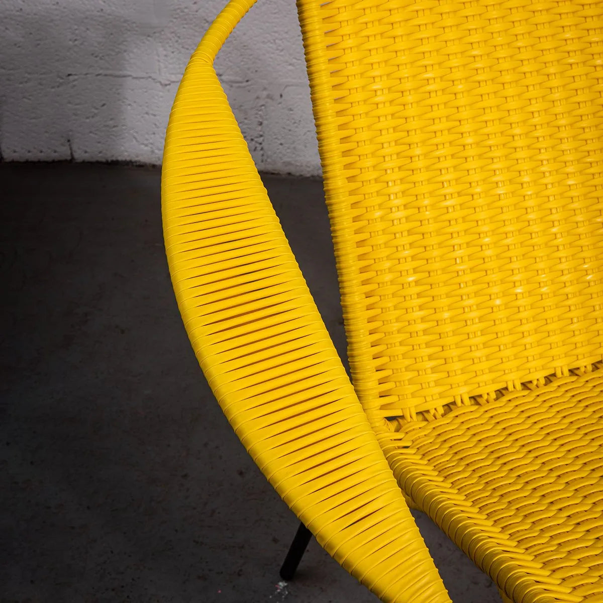 Tucurinca del Verano (Vivid colors)