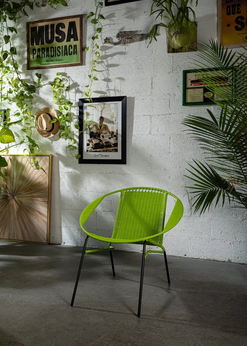 Tucurinca del Verano (Vivid colors)