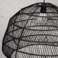 Usiacuri Tortuga Lamp