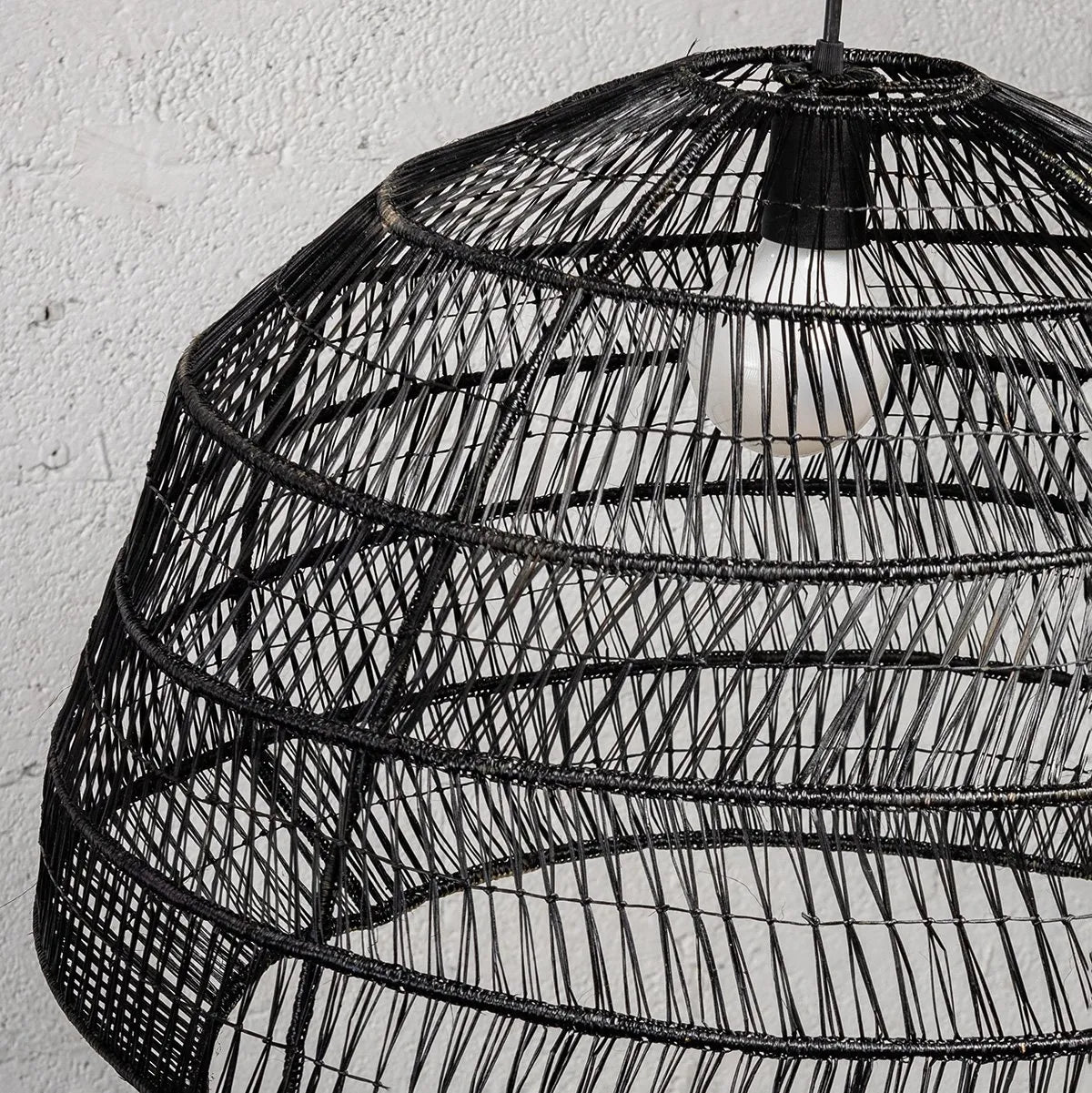 Usiacuri Tortuga Lamp