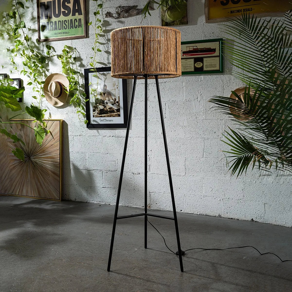 Zinto Lamp