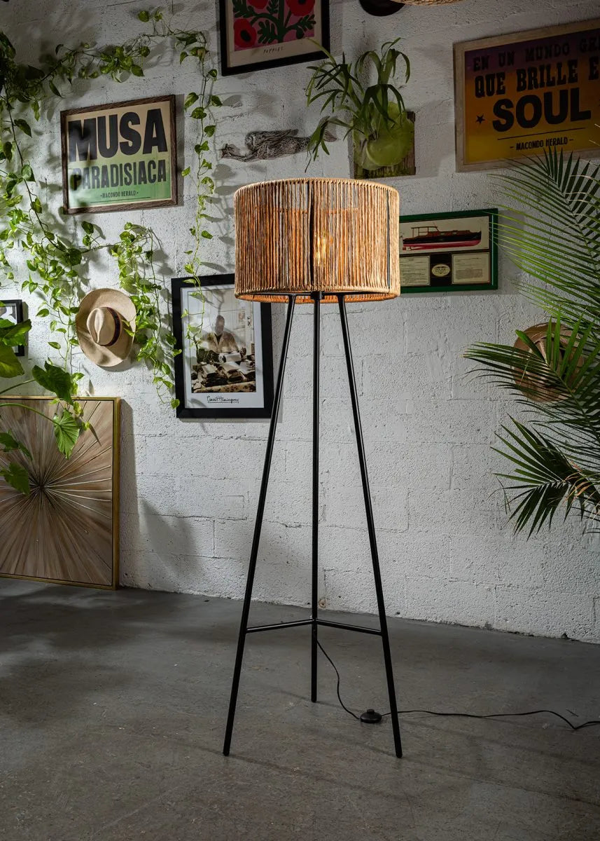 Zinto Lamp